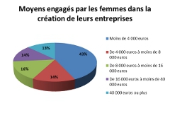 Moyens-femmes-creations-entreprises 240